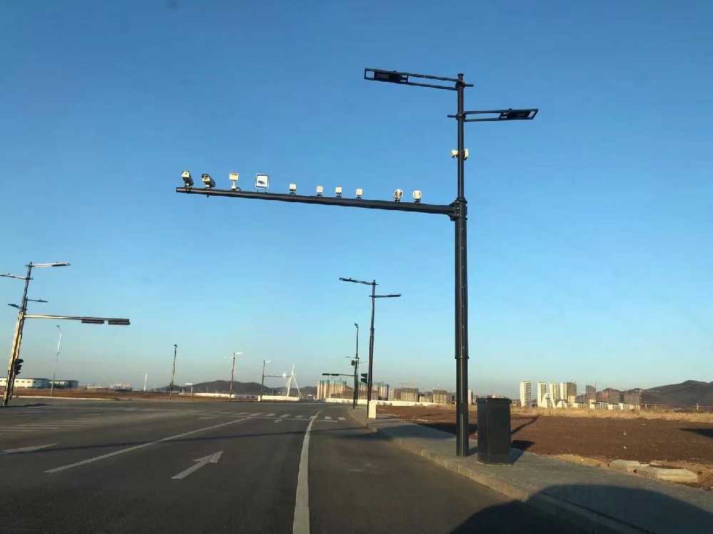虎林市黑龙江佳木斯综合路灯杆项目