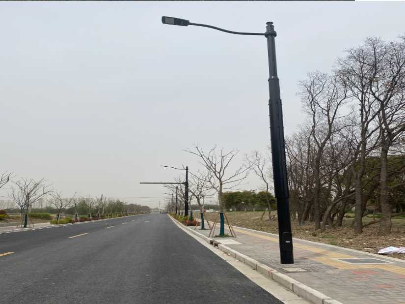 虎林市上海综合杆 太阳能路灯工程